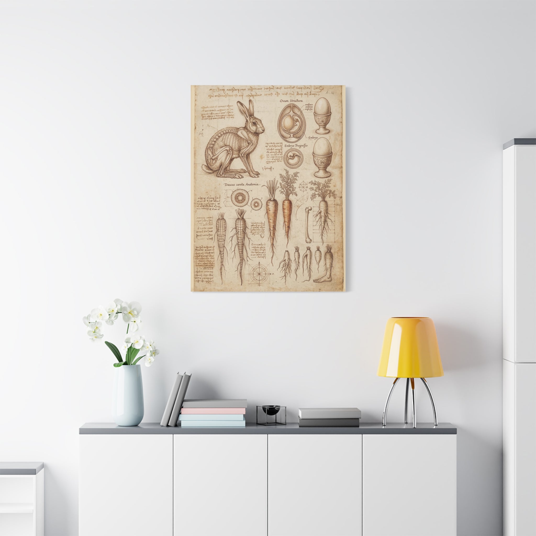 Vintage Botanical Anatomy Canvas