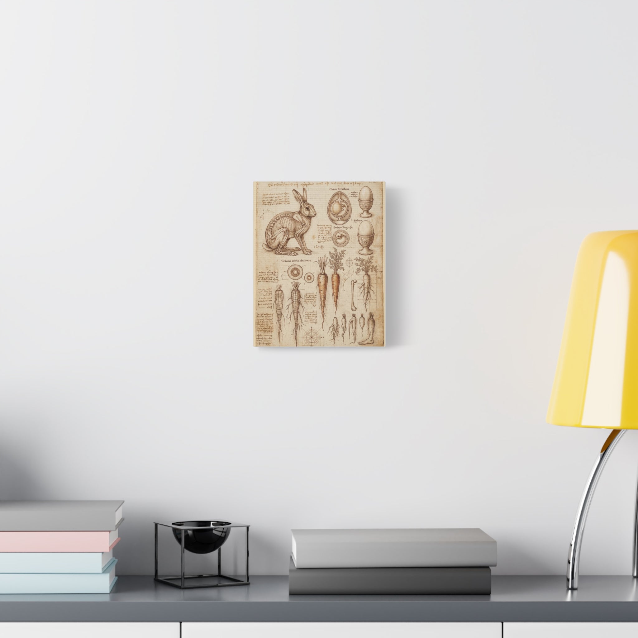 Vintage Botanical Anatomy Canvas