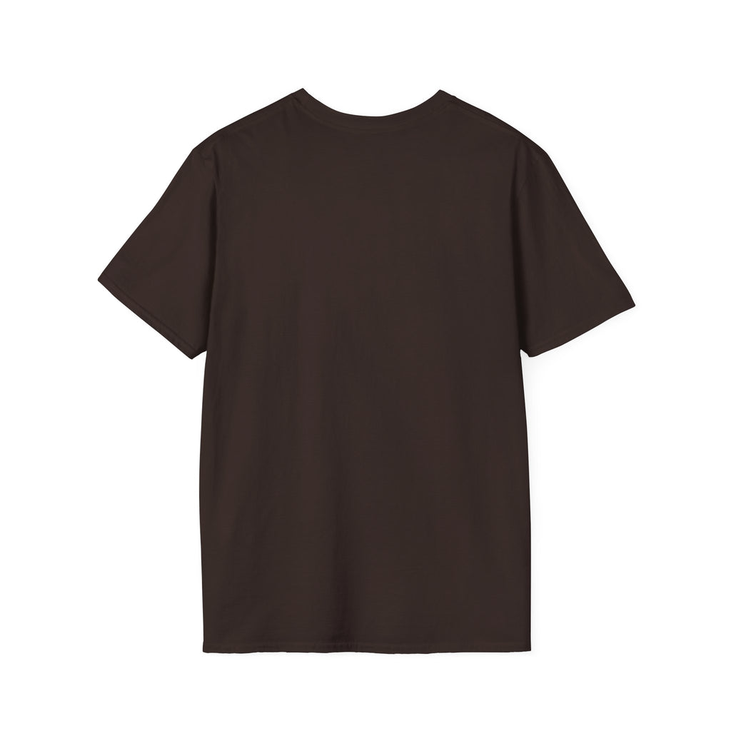 Lion Graphic T-Shirt — Retro Sunset Leopard King Tee