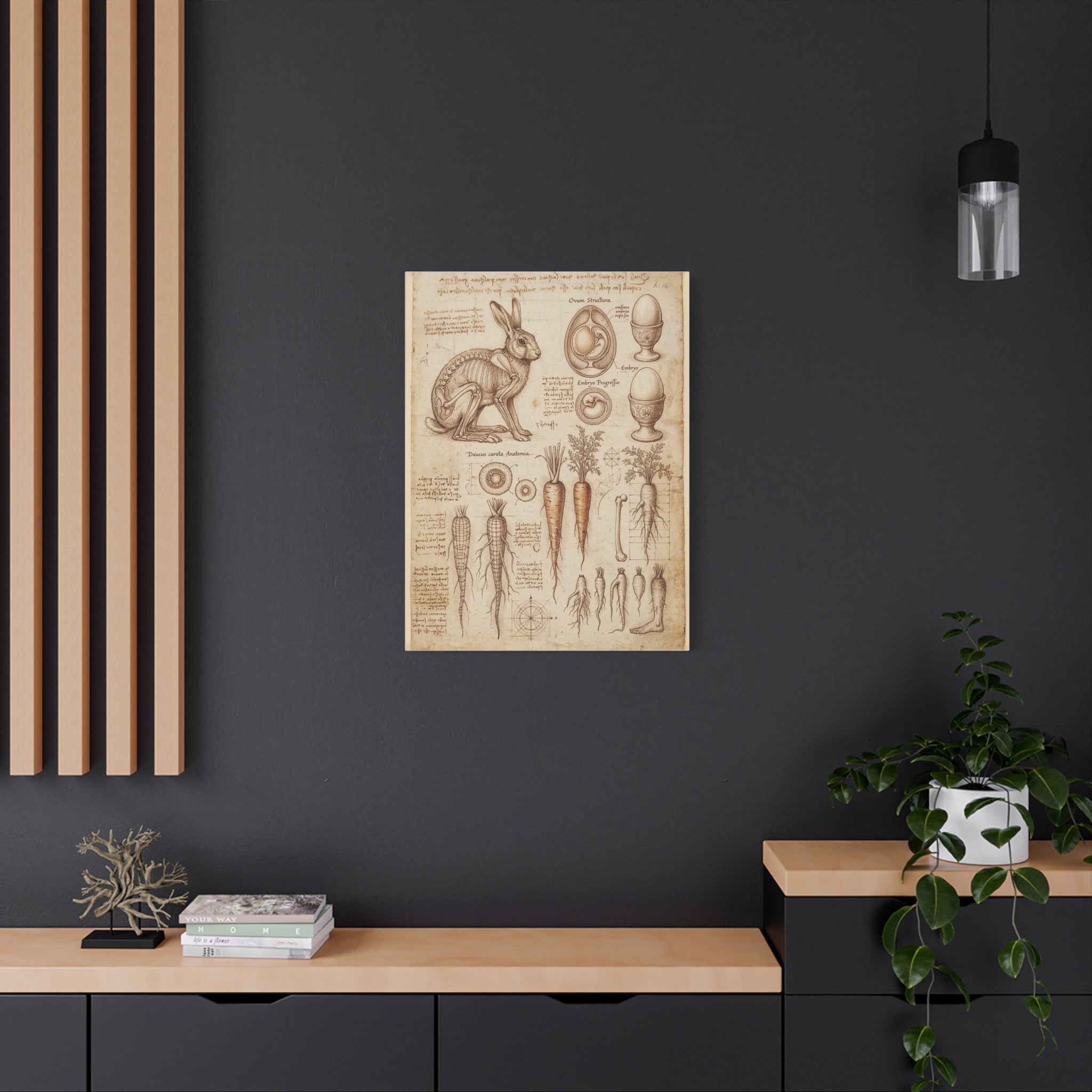 Vintage Botanical Anatomy Canvas