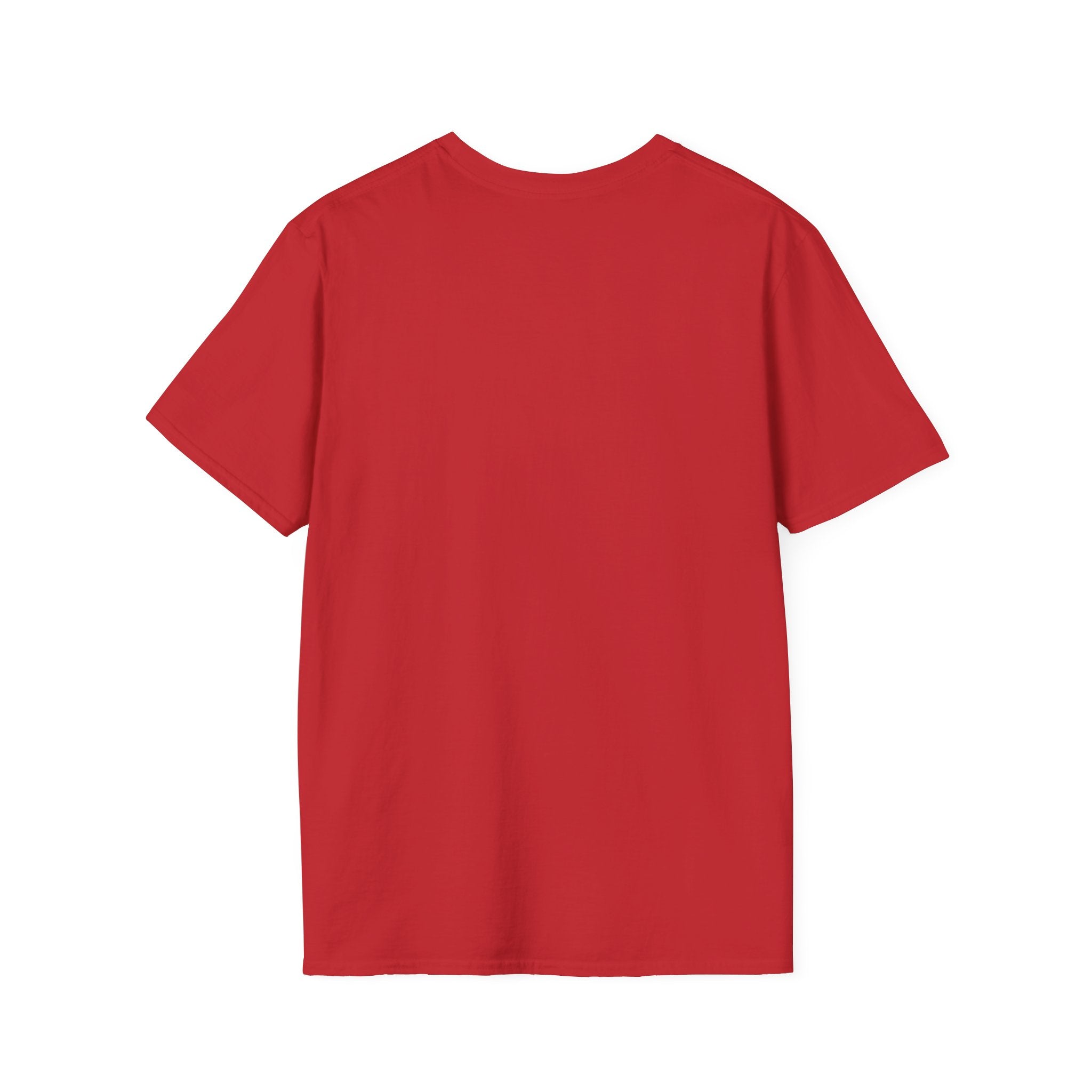 Lion Graphic T-Shirt — Retro Sunset Leopard King Tee