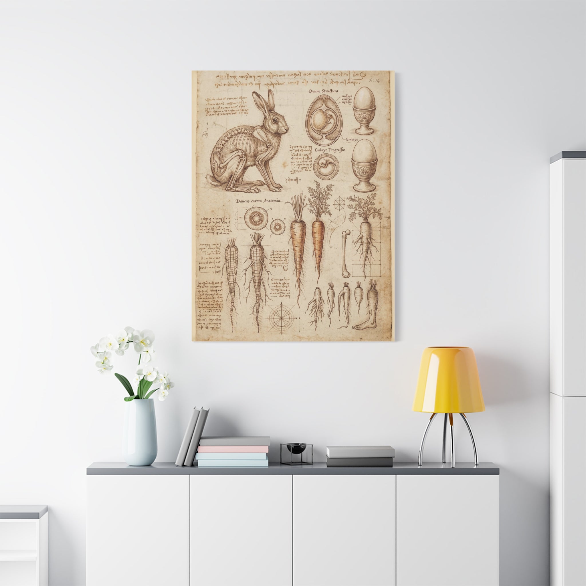 Vintage Botanical Anatomy Canvas