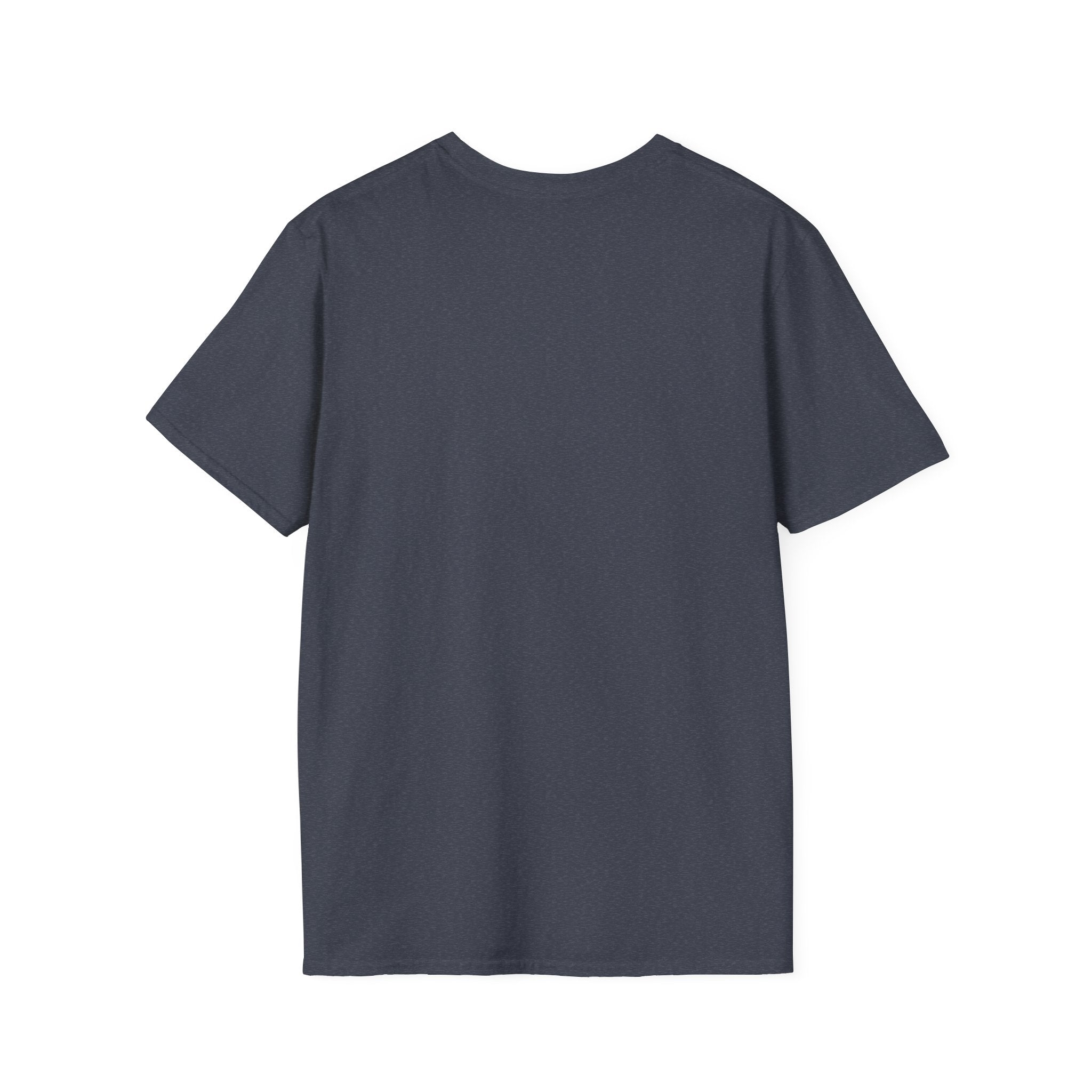 Lion Graphic T-Shirt — Retro Sunset Leopard King Tee