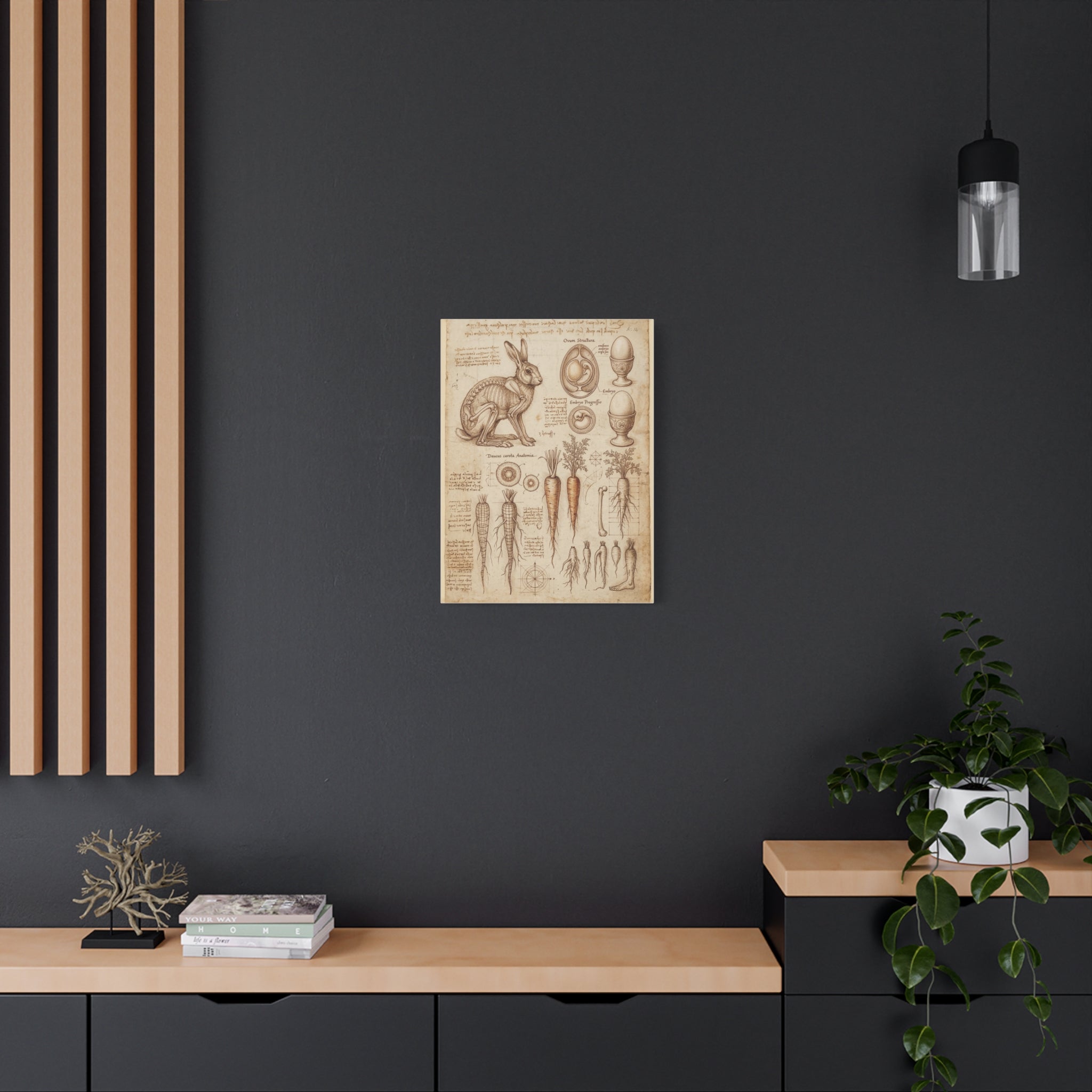 Vintage Botanical Anatomy Canvas